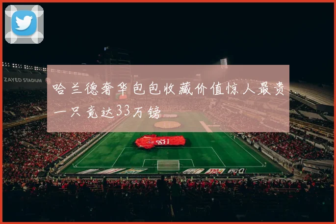 哈兰德奢华包包收藏价值惊人最贵一只竟达33万镑