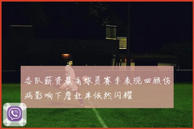 各队薪资最高球员赛季表现回顾伤病影响下詹杜库依然闪耀